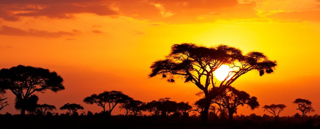 9th Day: Nairobi - Night on board